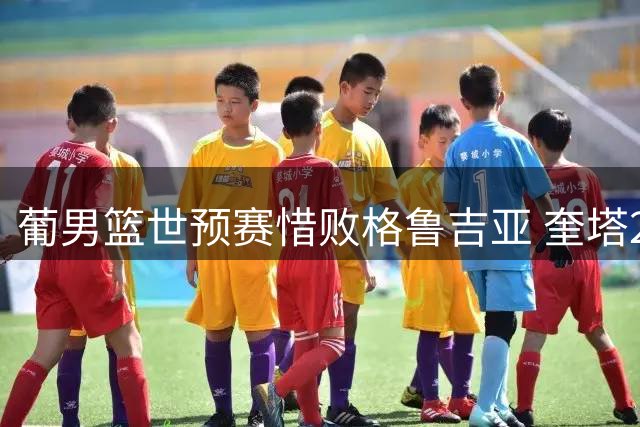 葡男篮世预赛惜败格鲁吉亚 奎塔20+11难救主 湖人新秀马穆22分