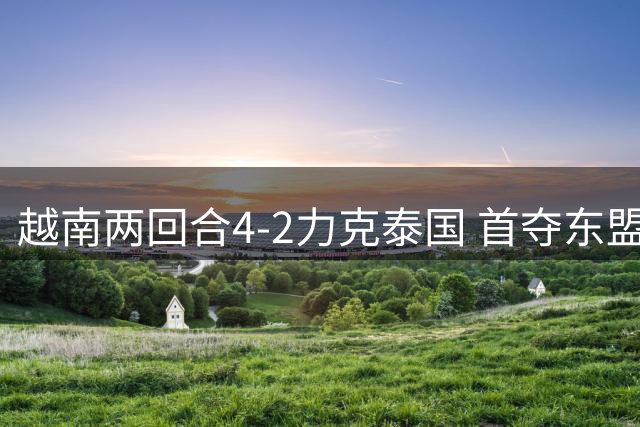 越南两回合4-2力克泰国 首夺东盟足球锦标赛桂冠
